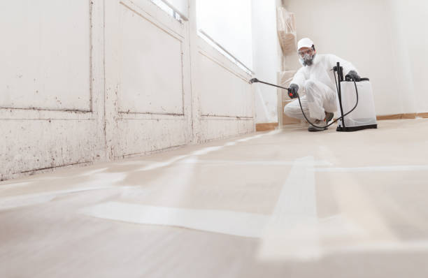 24/7 Emergency Basement Mold Remediation experts in Jenkintown, PA